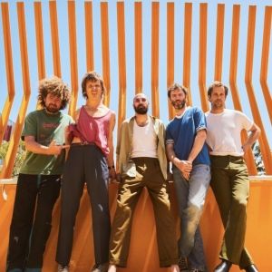 Pond Join Forces With Andrew Van Wyngarden for 'So Lo' Remix