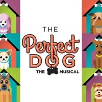 Laguna Playhouse Presents Youth Theatre Production Of Musical THE PERFECT DOG