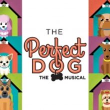 Laguna Playhouse Presents Youth Theatre Production Of Musical THE PERFECT DOG