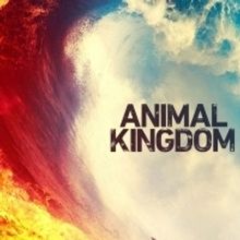 TNT Renews ANIMAL KINGDOM for Season Five