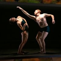 Hudson Valley Dance Festival Moves Online for 2020 Edition