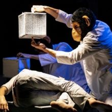 Jersey City Theater Center Presents 2nd Annual VOICES INTERNATIONAL THEATRE FESTIVAL