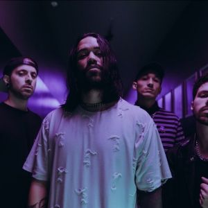 VRSTY Share 'The Plug'