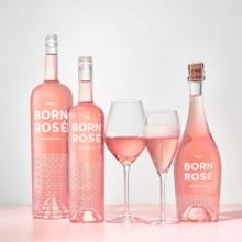 BORN ROSE Launches in the United States