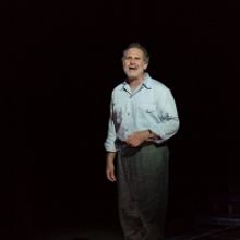 BWW Review: Tender GLASS MENAGERIE at Guthrie