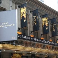 TV: Watch Broadway Walk the Opening Night Red Carpet at TINA