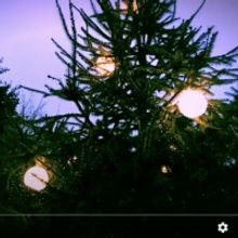 Plankton Wat Shares New Video for 'Nightfall'