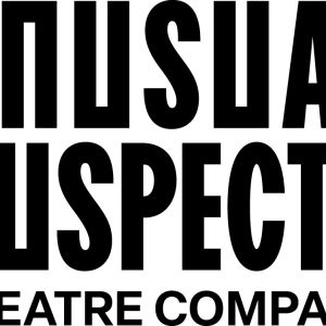 The Unusual Suspects Theatre Co. Appoints Entertainment Executive as Board Chair