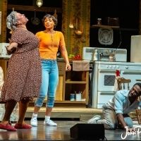 Choose-What-U-Pay to See RAISIN at Axelrod PAC