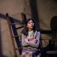 BWW Review: THE DIARY OF ANNE FRANK at Des Moines Playhouse: Letting the Legacy of a…