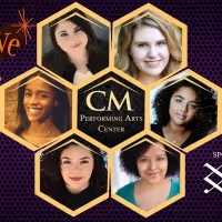 BEEHIVE: THE 60's MUSICAL to be Presented at The CM Performing Arts Center
