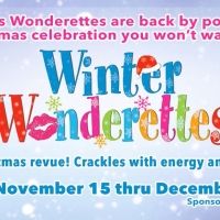 BWW Review: WINTER WONDERETTES Takes You On a Delightful Holiday Trip at Cumberland County Playhouse