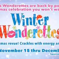 BWW Review: WINTER WONDERETTES Takes You On a Delightful Holiday Trip at Cumberland…
