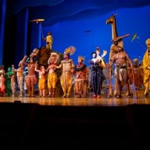 VIDEO: THE LION KING Returns to Broadway- Watch Highlights!