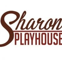 Sharon Playhouse Launches WRITERS PLAYGROUND