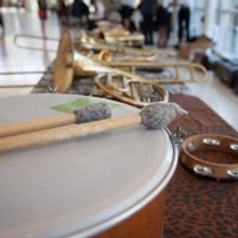 Plano Symphony Orchestra Celebrates Dance In Spring Family Series In Mckinney And Pla