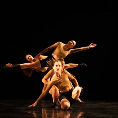 Chicago Dance Groups Will Perform PERSISTENT SPRING at Ruth Page Center
