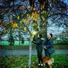 Wandsworth Arts Fringe Goes Green