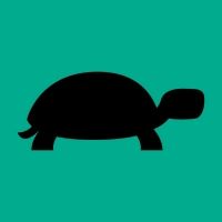 Performances Begin Tomorrow for A TURTLE ON A FENCE POST