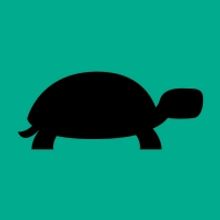 Performances Begin Tomorrow for A TURTLE ON A FENCE POST