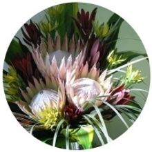 The Arts Council Of Princeton Presents A Virtual Master Class On The Art Of Floral De