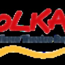 Polka Theatre Appoints New Chair Of Trustees