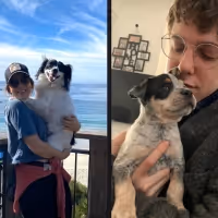 Broadway Stars and Their Pets Celebrate National Puppy Day!