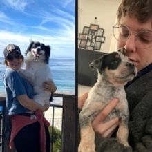 Broadway Stars and Their Pets Celebrate National Puppy Day!