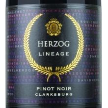 PASSOVER WINES! Wine Expert Gabriel Geller Talks 2020's Choices