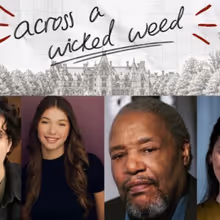 ACROSS A WICKED WEED to Make World Premiere at AMT Theater