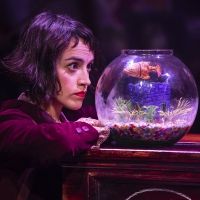 BWW Review: AMELIE THE MUSICAL, Nuffield Southampton Theatres Photo
