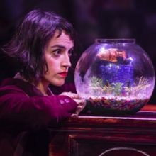 BWW Review: AMELIE THE MUSICAL, Nuffield Southampton Theatres