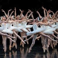 BWW Review: SWAN LAKE at San Francisco Ballet Brings the 2022 Season to a…