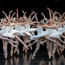 BWW Review: SWAN LAKE at San Francisco Ballet Brings the 2022 Season to a Spectacular