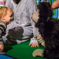 GOODNIGHT GORILLA Returns to San Francisco