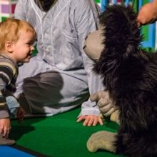 GOODNIGHT GORILLA Returns to San Francisco