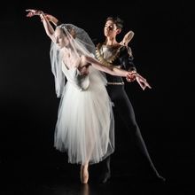 THE NUTCRACKER, GISELLE Included in New Ballet 2025/2026 Season