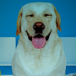 BERT & TRIXIE VISIT THE VET To Have World Premiere at Purple Rose Theatre
