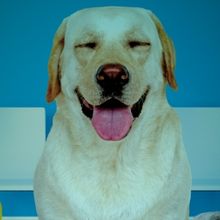 BERT & TRIXIE VISIT THE VET To Have World Premiere at Purple Rose Theatre