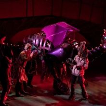 Children's Theatre Of Charlotte Presents SHREK THE MUSICAL