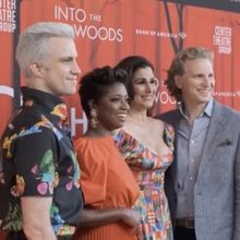 Video: Cast of INTO THE WOODS Talks Opening Night in Los Angeles
