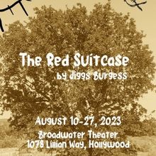 P3 Theatre Company to Present World Premiere of THE RED SUITCASE Beginning Next Month