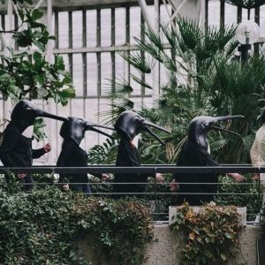 Penguin Cafe Share South America-Inspired 'Find Your Feet' Single