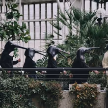 Penguin Cafe Share South America-Inspired 'Find Your Feet' Single