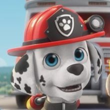 PAW PATROL & Spinoff RUBBLE & CREW Renewed By Nickelodeon