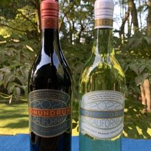 CONUNDRUM WINES for Sommelier-Approved Wine Pairings