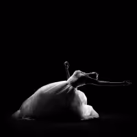 Tennessee Performing Arts Center Announces Wide Range of 'Intentional, Diverse…