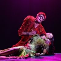 NOTRE DAME DE PARIS to Make New York City Debut at the David H. Koch Theater at Linco Interview