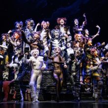 Review: CATS is the Latest Musical to Prowl Onto the Vancouver Stage