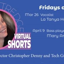 BWW Review: Ann Kittredge VIRTUAL SHORTS Is Wonderful Binge-Worthy Virtual Programmin